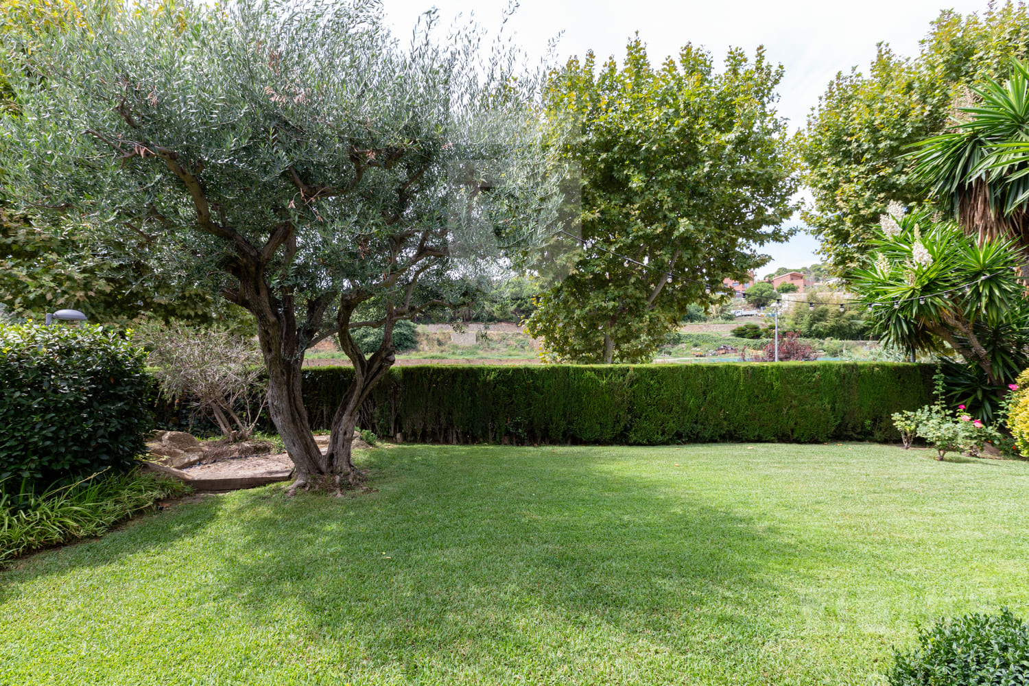 VIUHI – Tiana-9